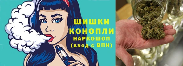 ПСИЛОЦИБИНОВЫЕ ГРИБЫ Няндома