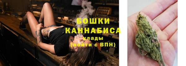 ПСИЛОЦИБИНОВЫЕ ГРИБЫ Няндома