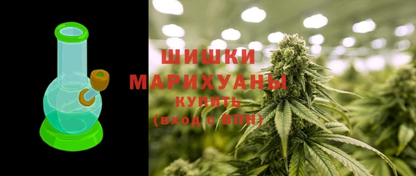 ПСИЛОЦИБИНОВЫЕ ГРИБЫ Няндома