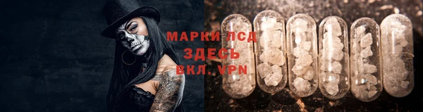 ПСИЛОЦИБИНОВЫЕ ГРИБЫ Няндома